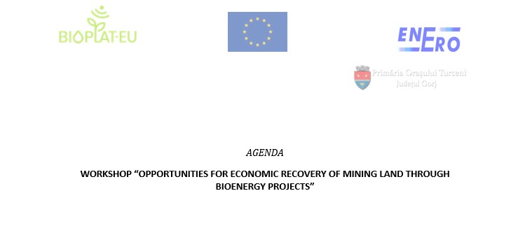 Opportunities for economic recovery of mining land through bioenergy projects