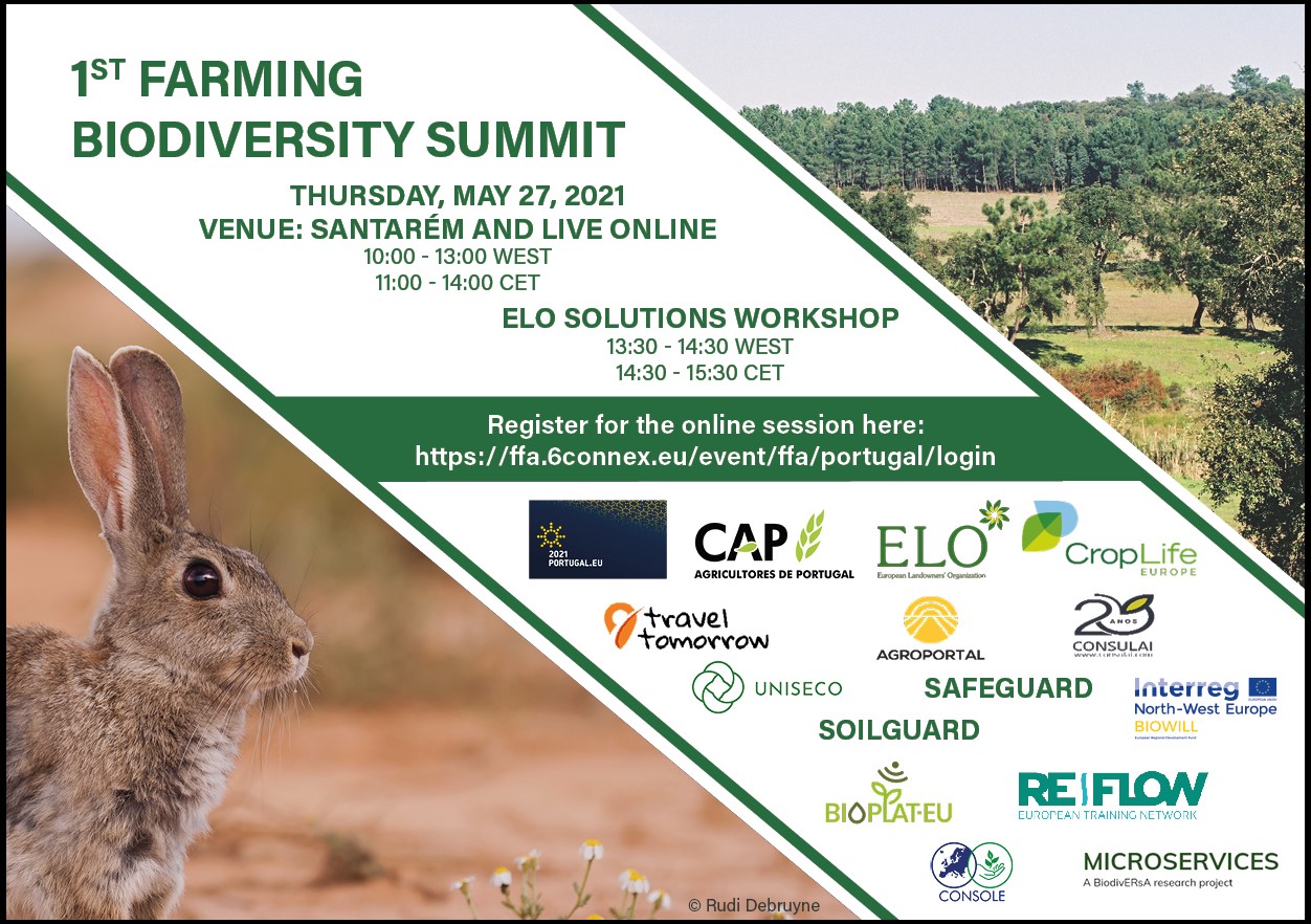 ELO Solutions Workshop: Insights from EU Projects on Co-designing Research with Rural Actors