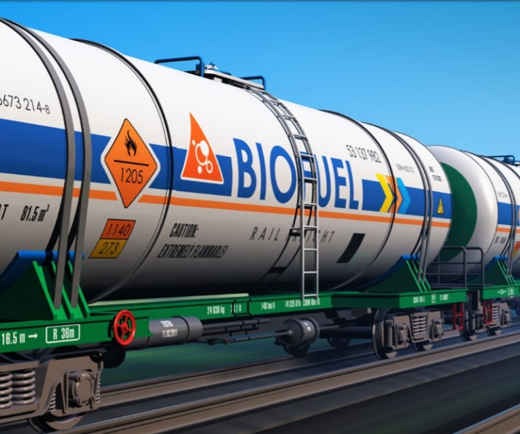 Advanced Biofuels - What holds them back?
