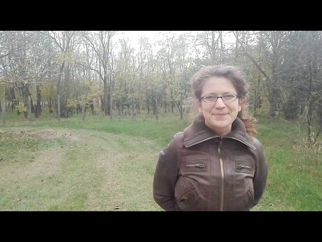 Hungary stakeholder video interview